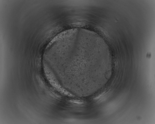 X0000092210745200710051136