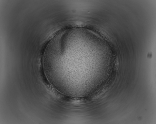 X0000092210746200710051136