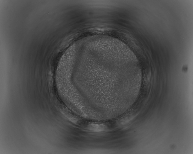 X0000092210749200710051136