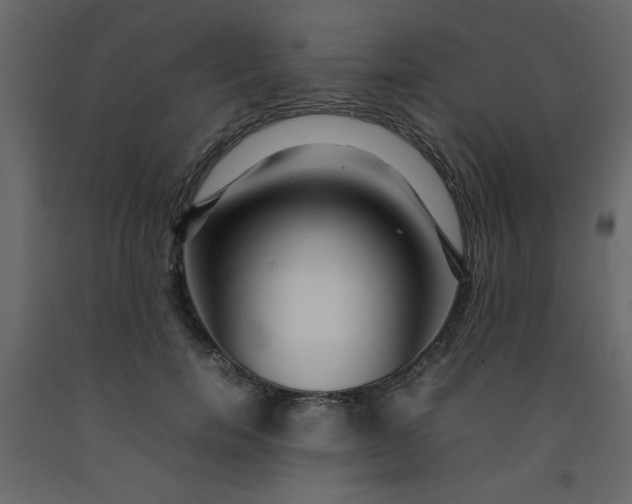 X0000092210750200710051136