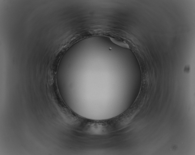 X0000092210751200710051136