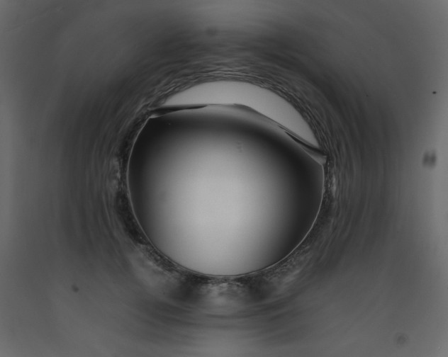 X0000092210752200710051136