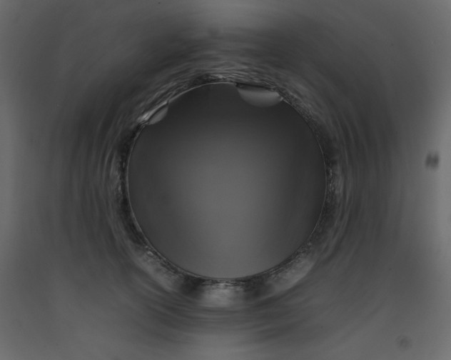 X0000092210754200710051137