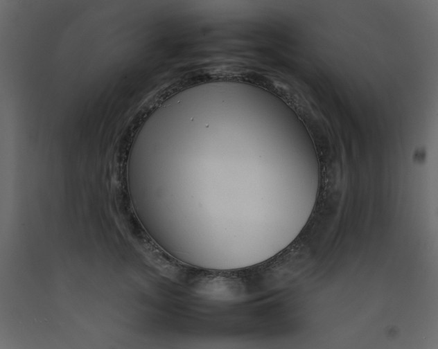 X0000092210755200710051137