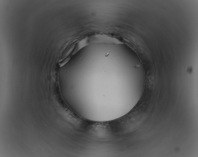 X0000092210756200710051137