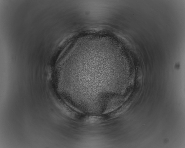 X0000092210758200710051137