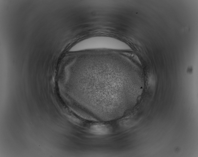 X0000092210759200710051137