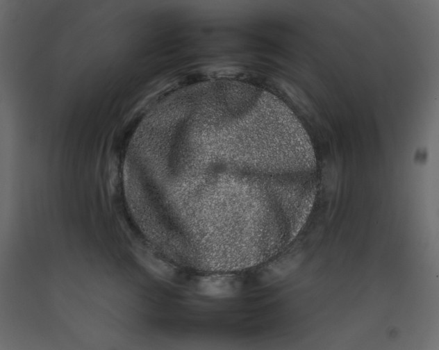 X0000092210761200710051137