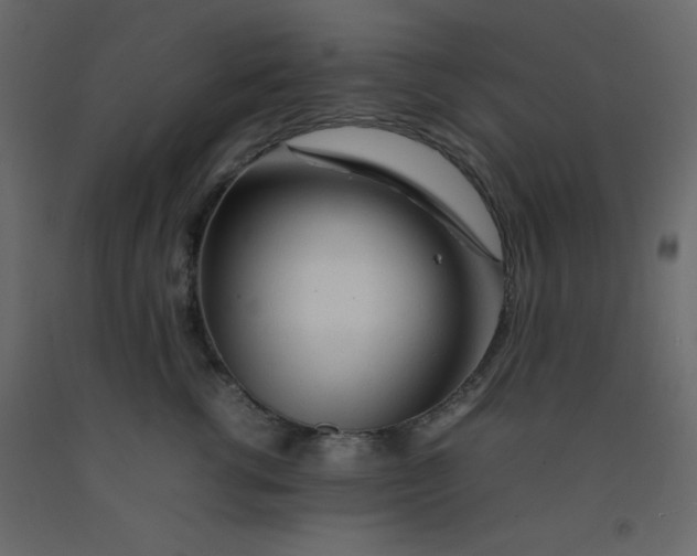 X0000092210762200710051137