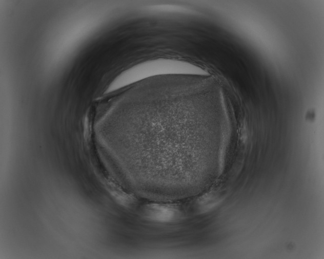 X0000092210763200710051137