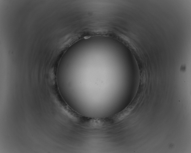 X0000092210764200710051137