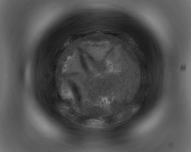 X0000092210765200710051137