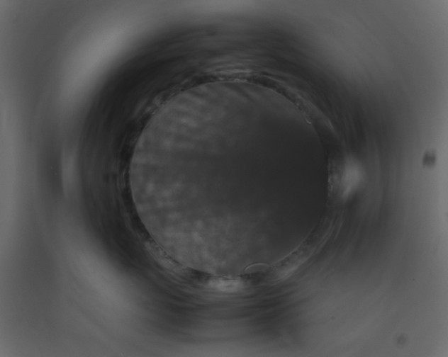 X0000092210767200710051137