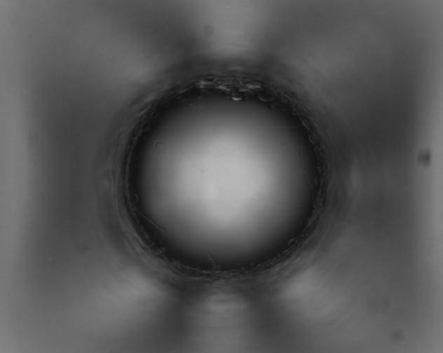 X0000092210769200710051136