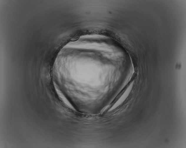 X0000092210771200710051136