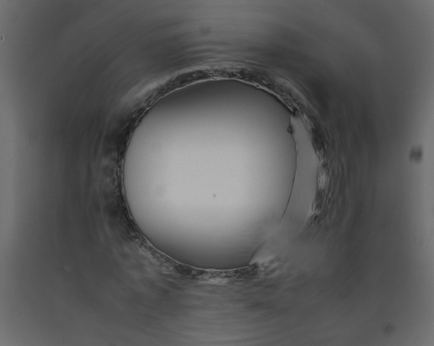 X0000092210773200710051136