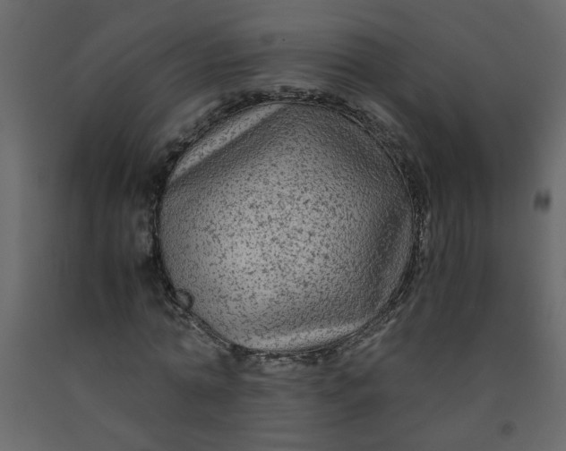 X0000092210774200710051136