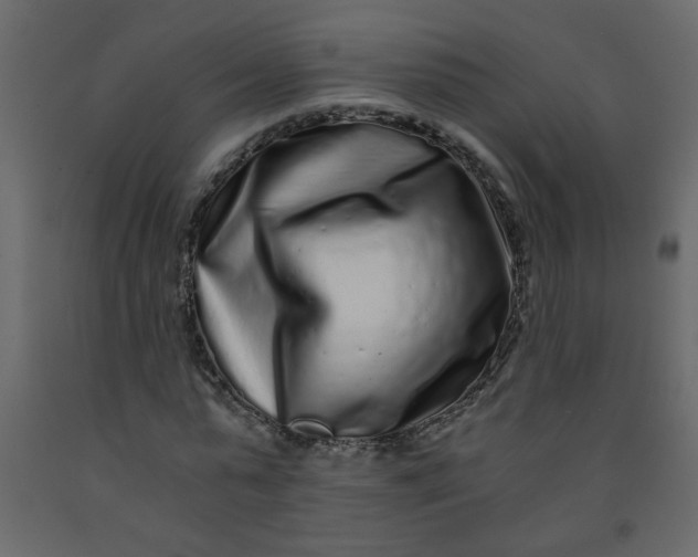 X0000092210775200710051136