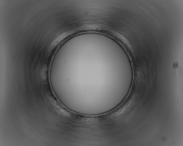 X0000092210778200710051136