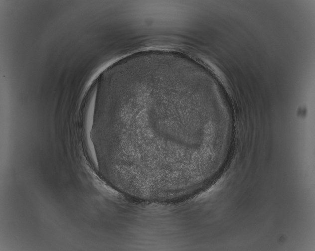 X0000092210779200710051136