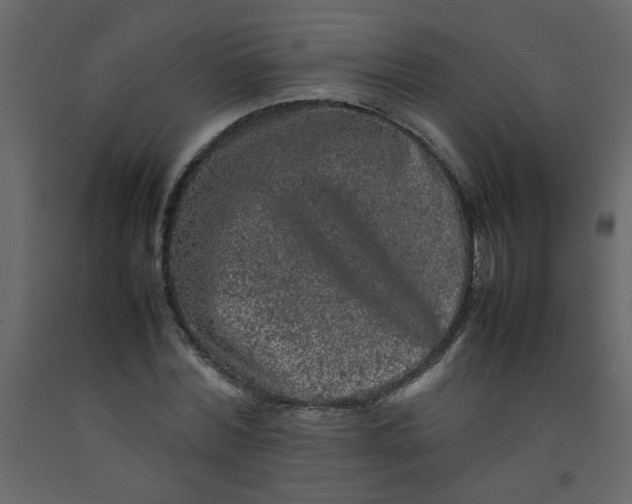 X0000092210780200710051136