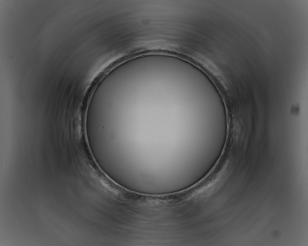 X0000092210782200710051136