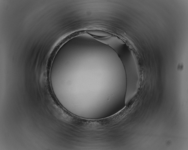 X0000092210784200710051136