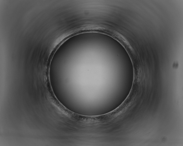 X0000092210786200710051136