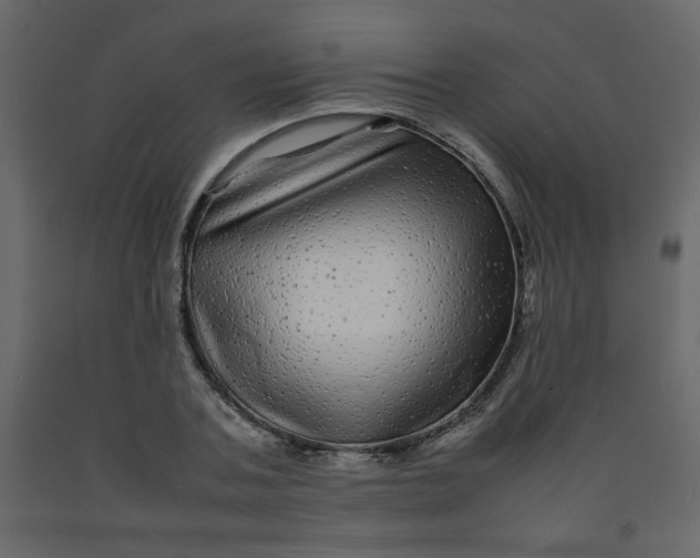 X0000092210787200710051136