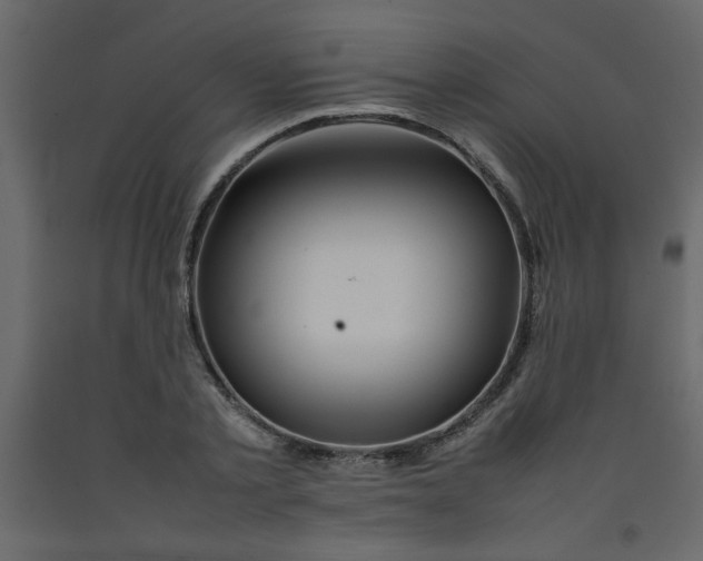 X0000092210789200710051136