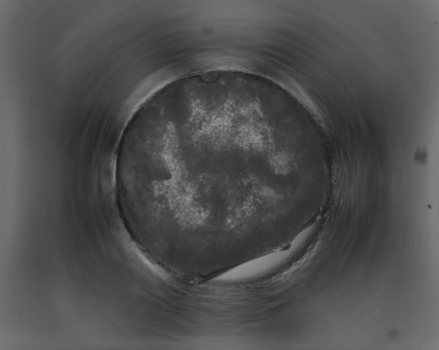 X0000092210790200710051136