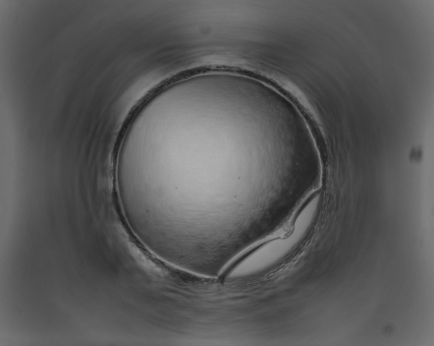 X0000092210791200710051136