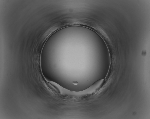 X0000092210793200710051136