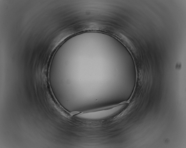 X0000092210794200710051136