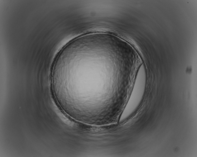 X0000092210795200710051136