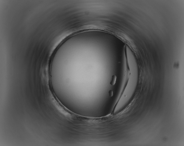 X0000092210796200710051136