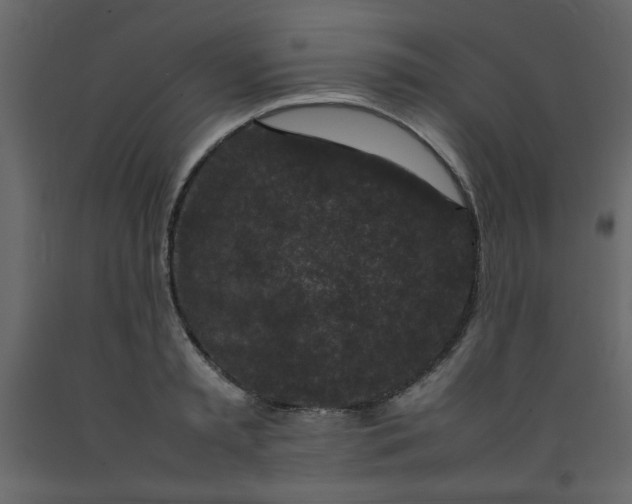 X0000092210797200710051136