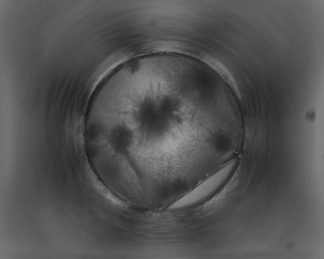 X0000092210798200710051136