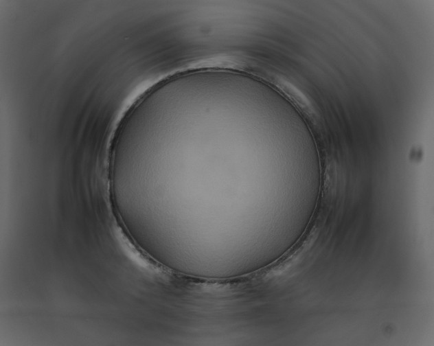 X0000092210800200710051136