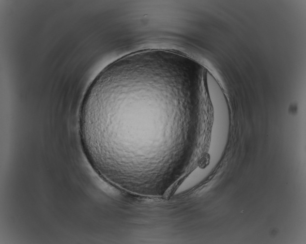 X0000092210803200710051135