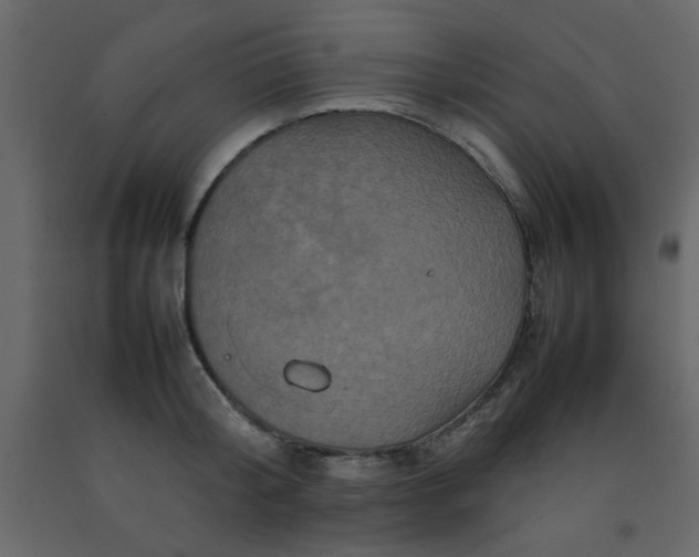 X0000092210804200710051135