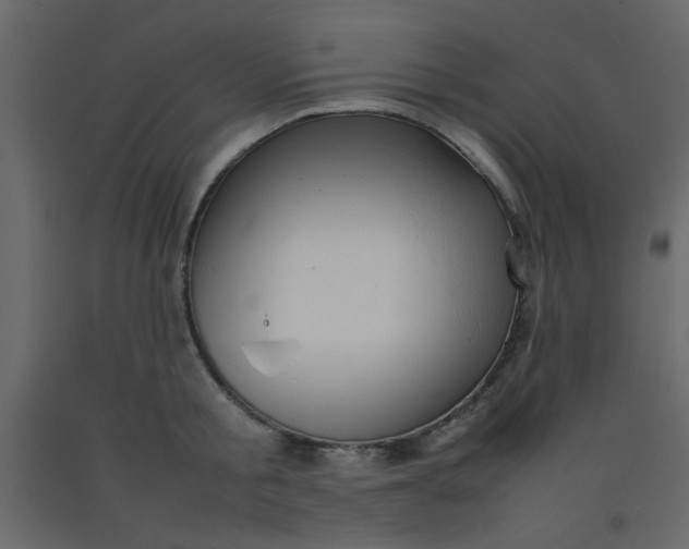 X0000092210805200710051135