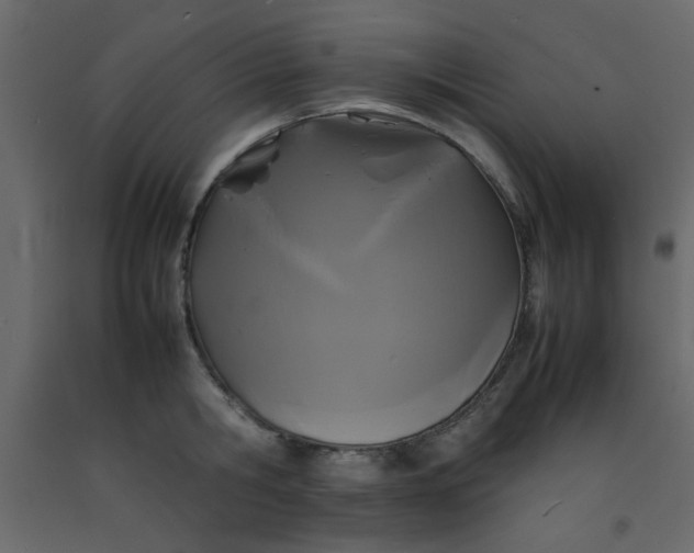 X0000092210806200710051135