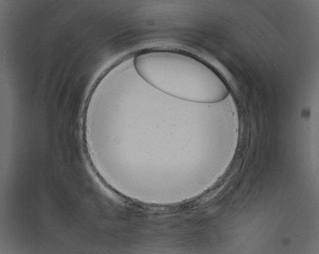 X0000092210807200710051135