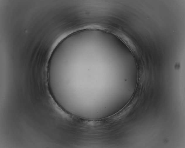 X0000092210808200710051135