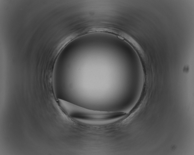 X0000092210809200710051135