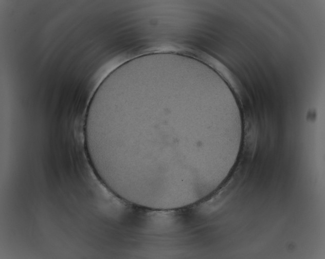 X0000092210810200710051135