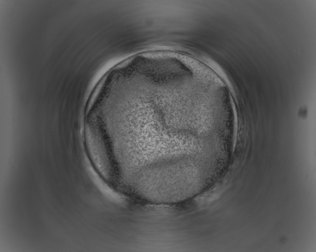 X0000092210811200710051135