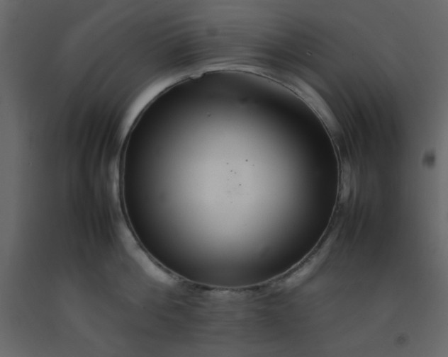 X0000092210812200710051135