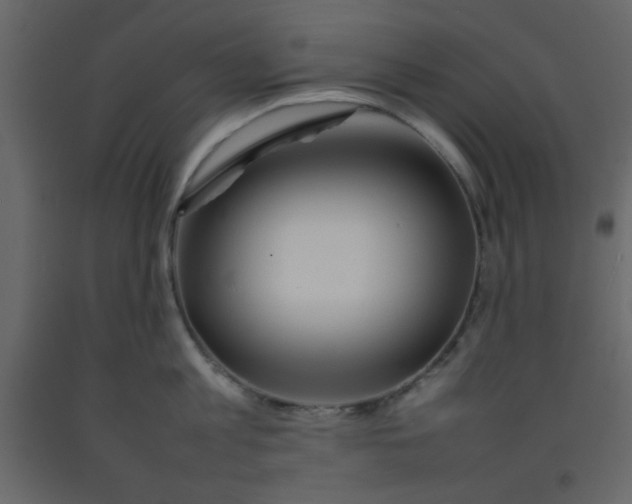 X0000092210813200710051135